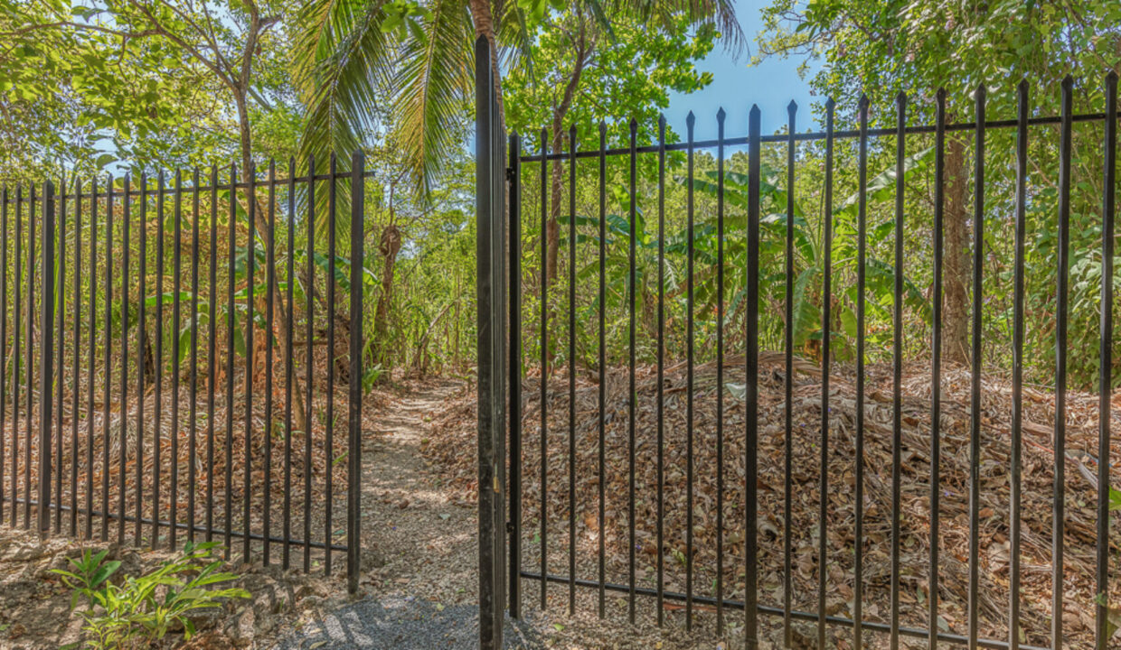 2020_02_20B-49-1740x960-c-center