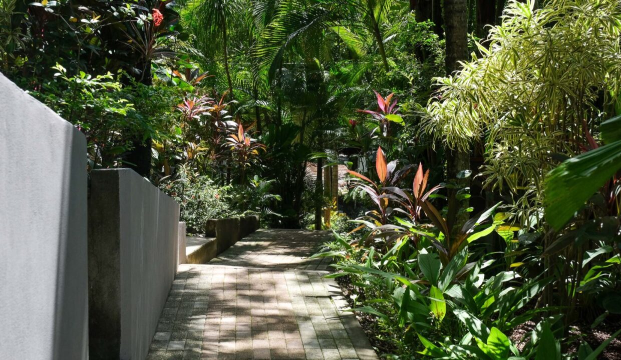 DSCF3603-1740x960-c-center