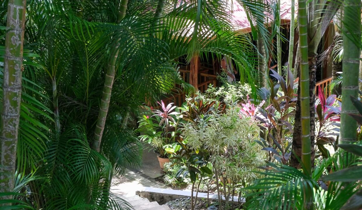 DSCF3642-1740x960-c-center